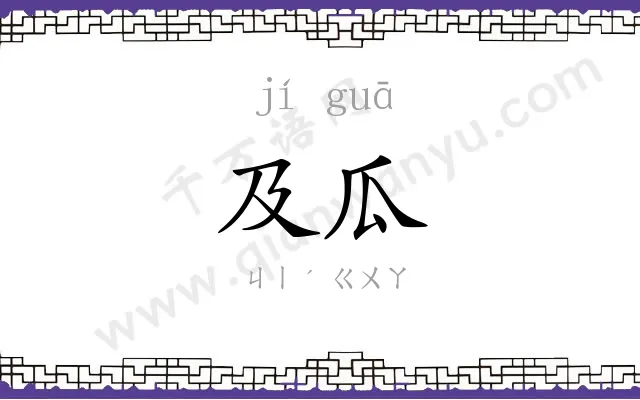 及瓜