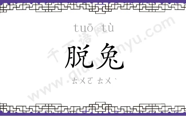 脱兔