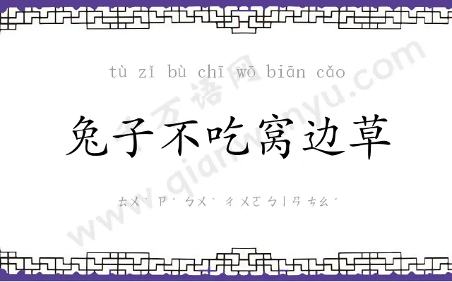 兔子不吃窝边草