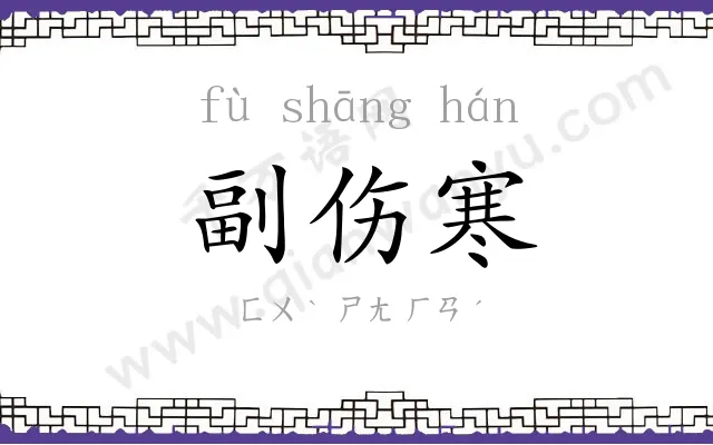 副伤寒