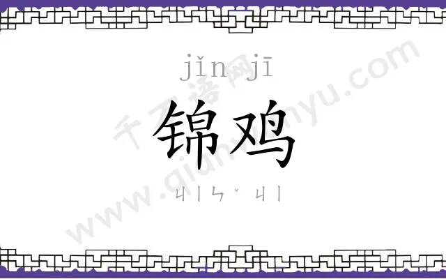 锦鸡