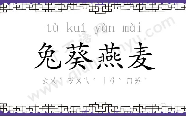 兔葵燕麦