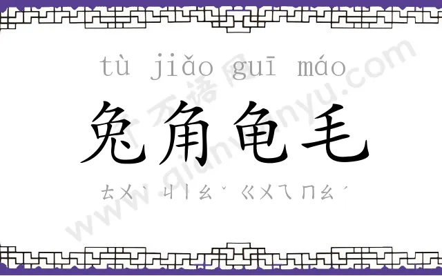 兔角龟毛