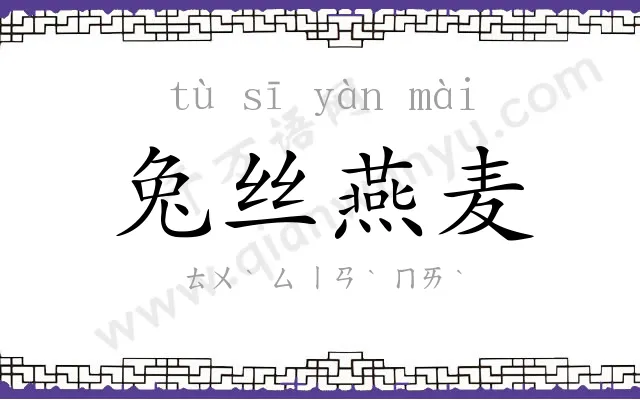 兔丝燕麦