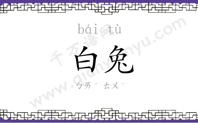 白兔