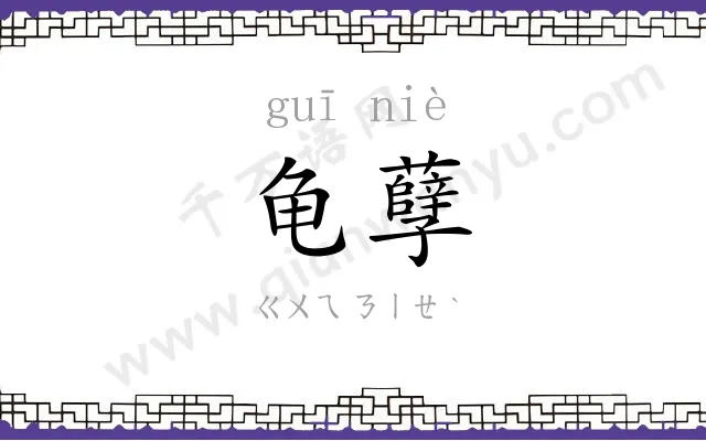 龟孽