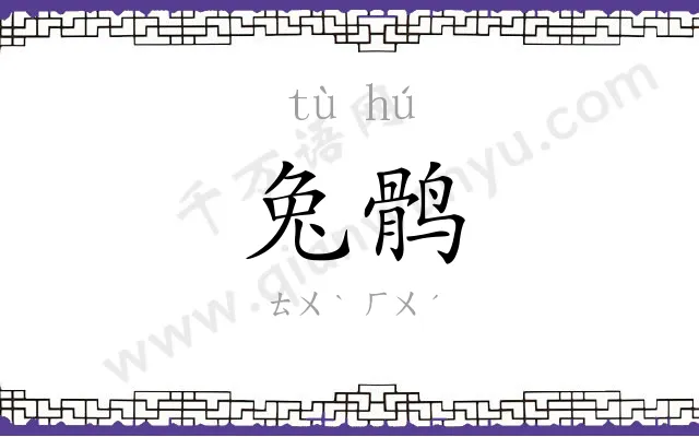 兔鹘