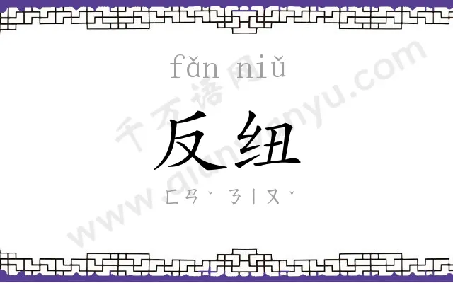 反纽