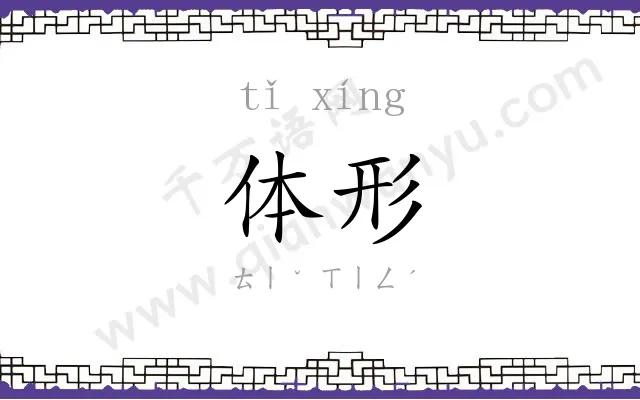 体形