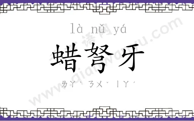 蜡弩牙