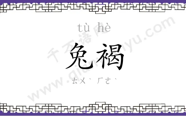 兔褐