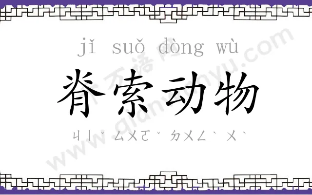 脊索动物