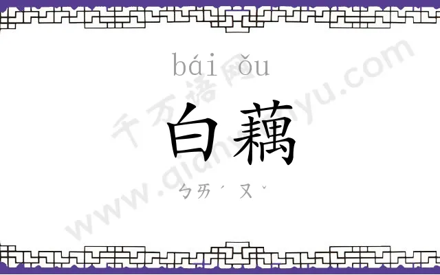 白藕