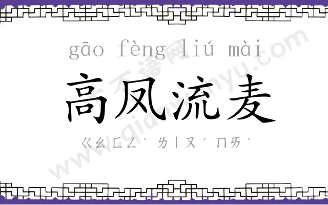 高凤流麦