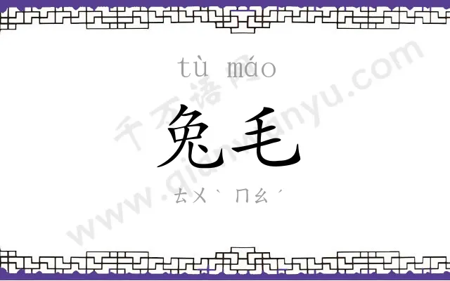 兔毛