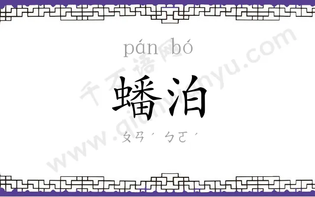蟠泊