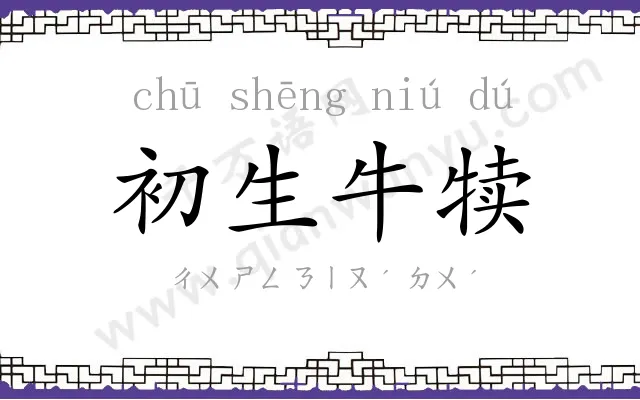 初生牛犊