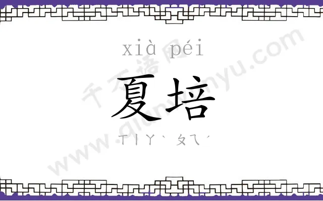 夏培