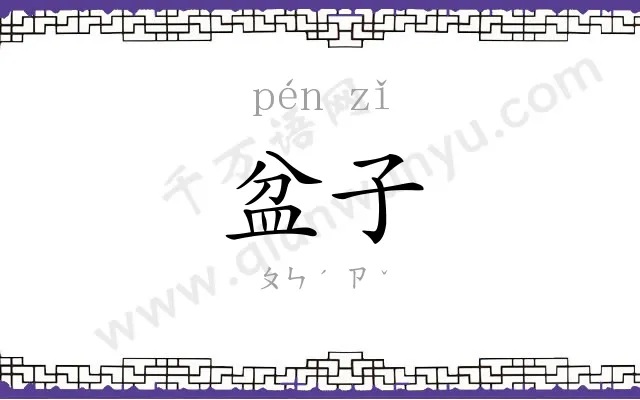盆子