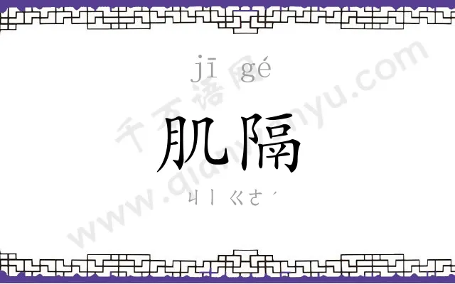 肌隔