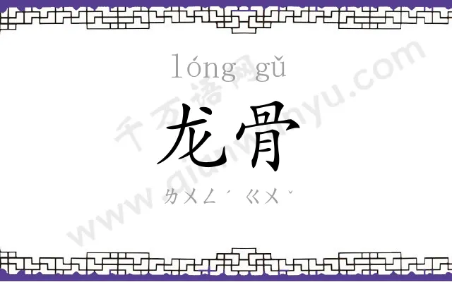 龙骨