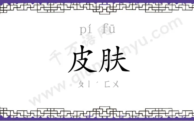 皮肤