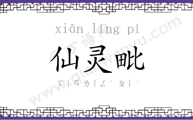 仙灵毗