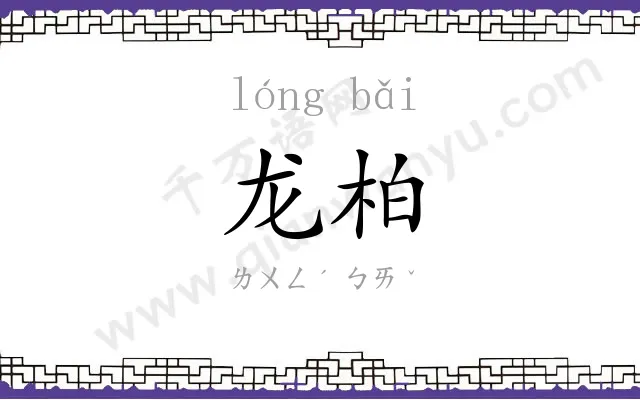 龙柏