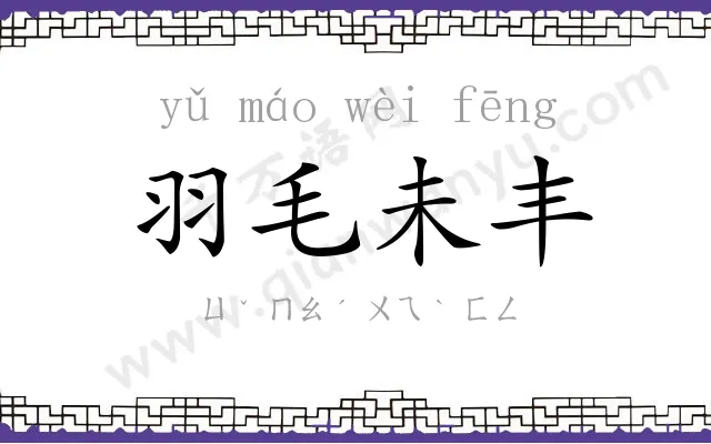 羽毛未丰