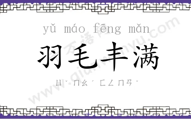 羽毛丰满
