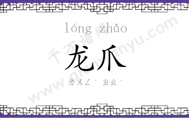 龙爪
