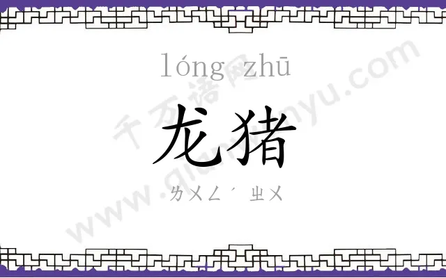 龙猪