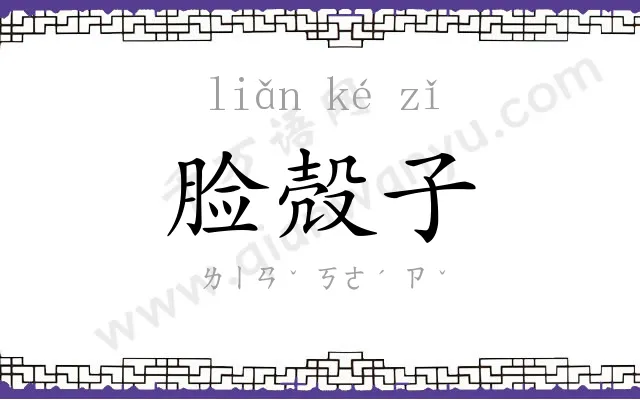脸殻子