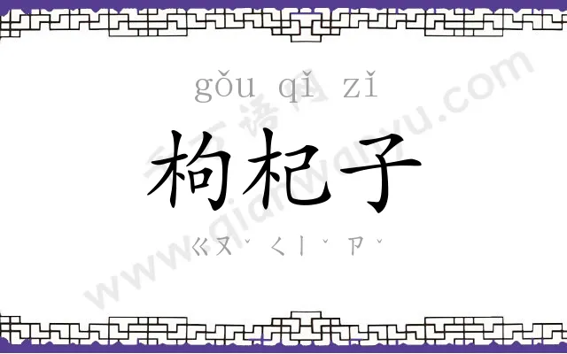 枸杞子