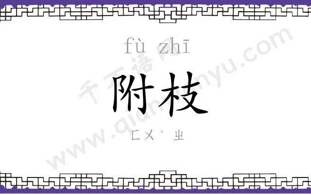 附枝