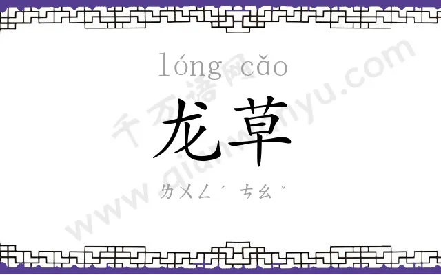龙草