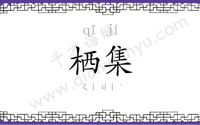 栖集