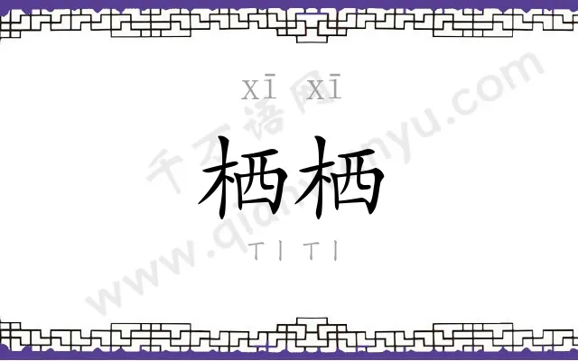 栖栖