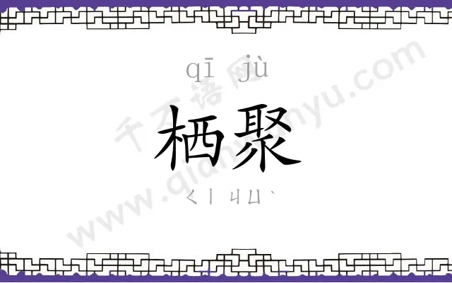 栖聚