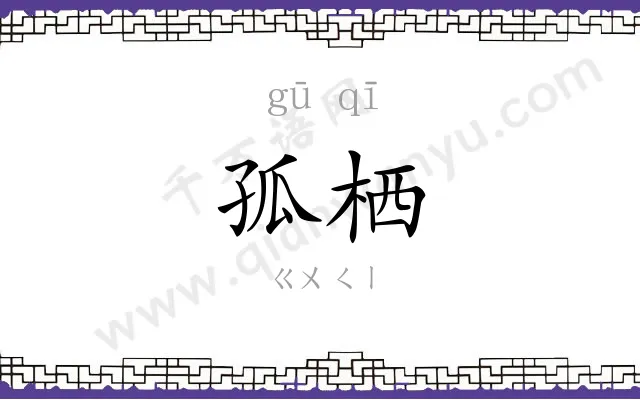孤栖