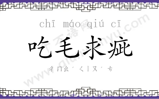 吃毛求疵