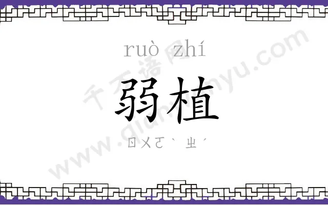 弱植