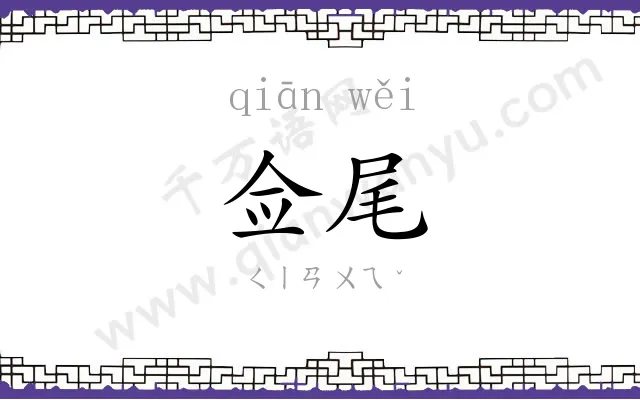 佥尾