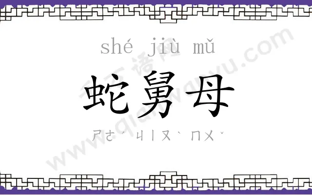 蛇舅母