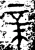 𣓀(西周·金文·西周中期)