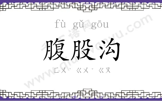 腹股沟
