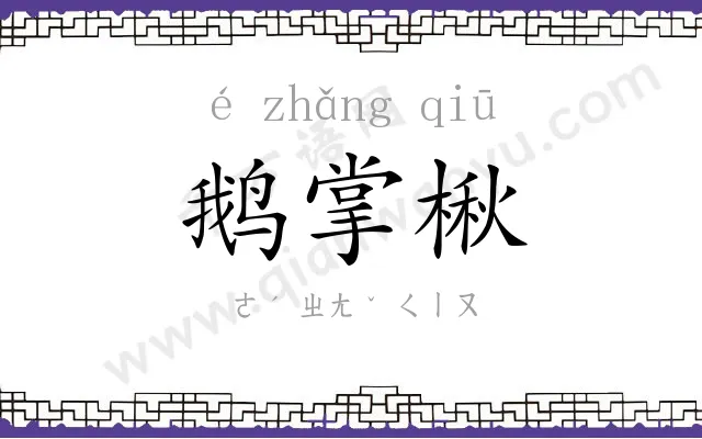 鹅掌楸