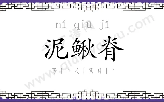 泥鳅脊