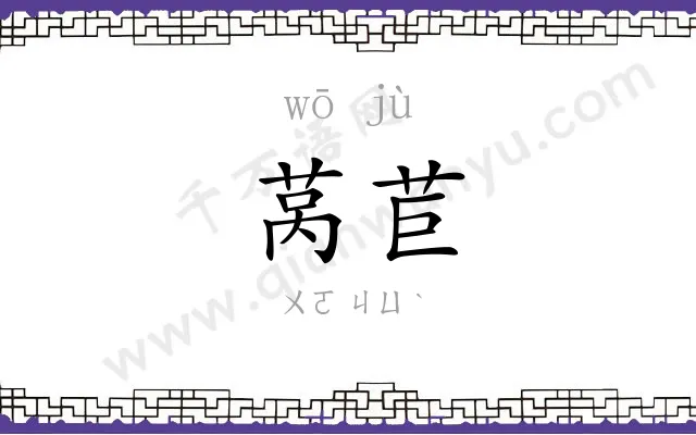 莴苣