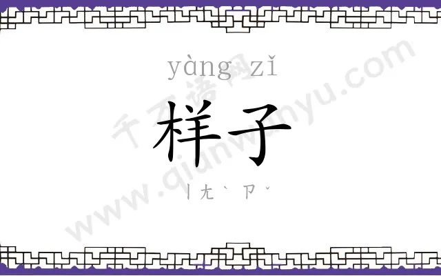 样子